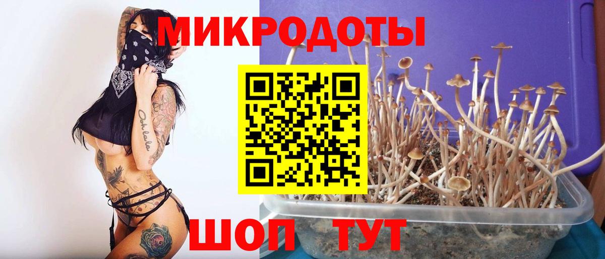 Псилоцибиновые грибы мухоморы Ессентуки