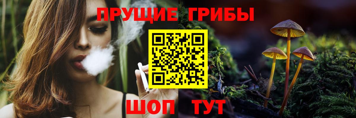 Галлюциногенные грибы Cubensis  Вход с VPN  Ессентуки 